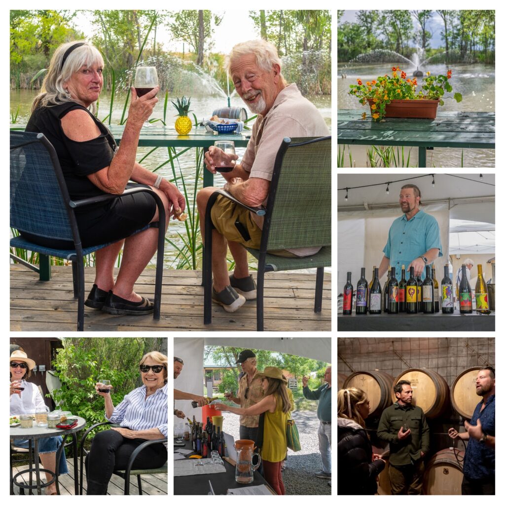 barrel tasting 047 55120066915 o collage
